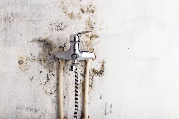 Reliable Sacramento, CA Mold Remediation Solutions