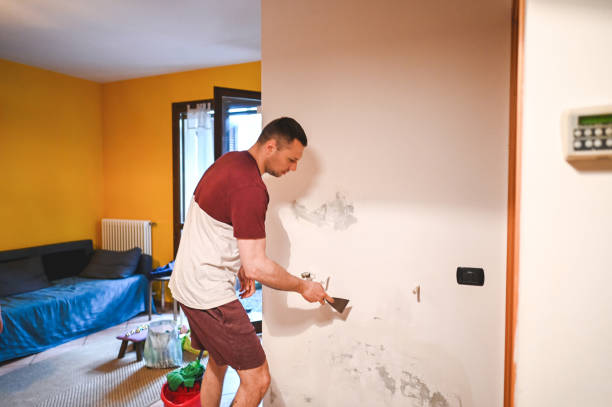 Trusted Sacramento, CA Mold Remediation Experts